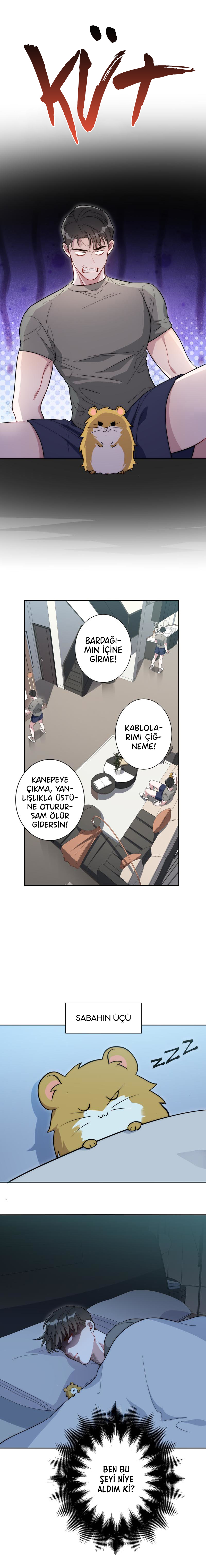 No Arguing With Mr. Mo Ch. 2 第13页