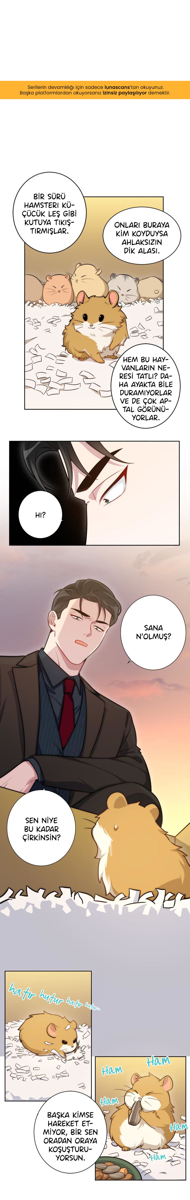 No Arguing With Mr. Mo Ch. 2 第5页