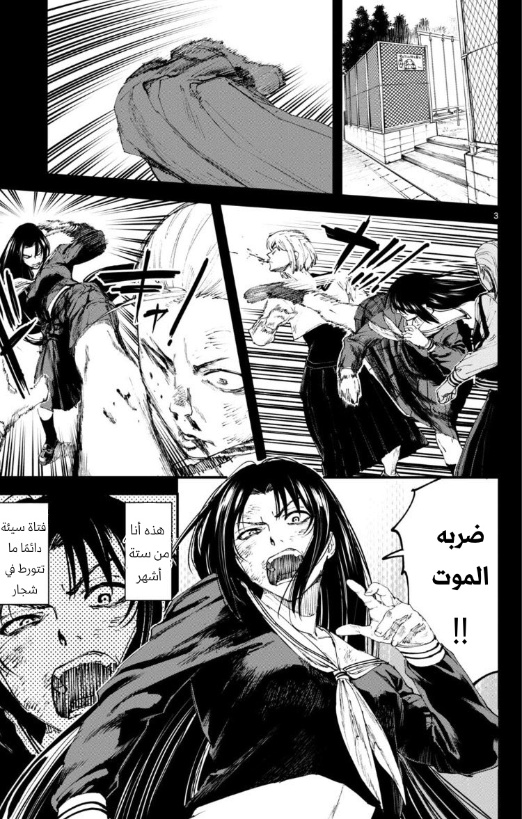 Tekkyaku no Ryoko Oneshot 第3页
