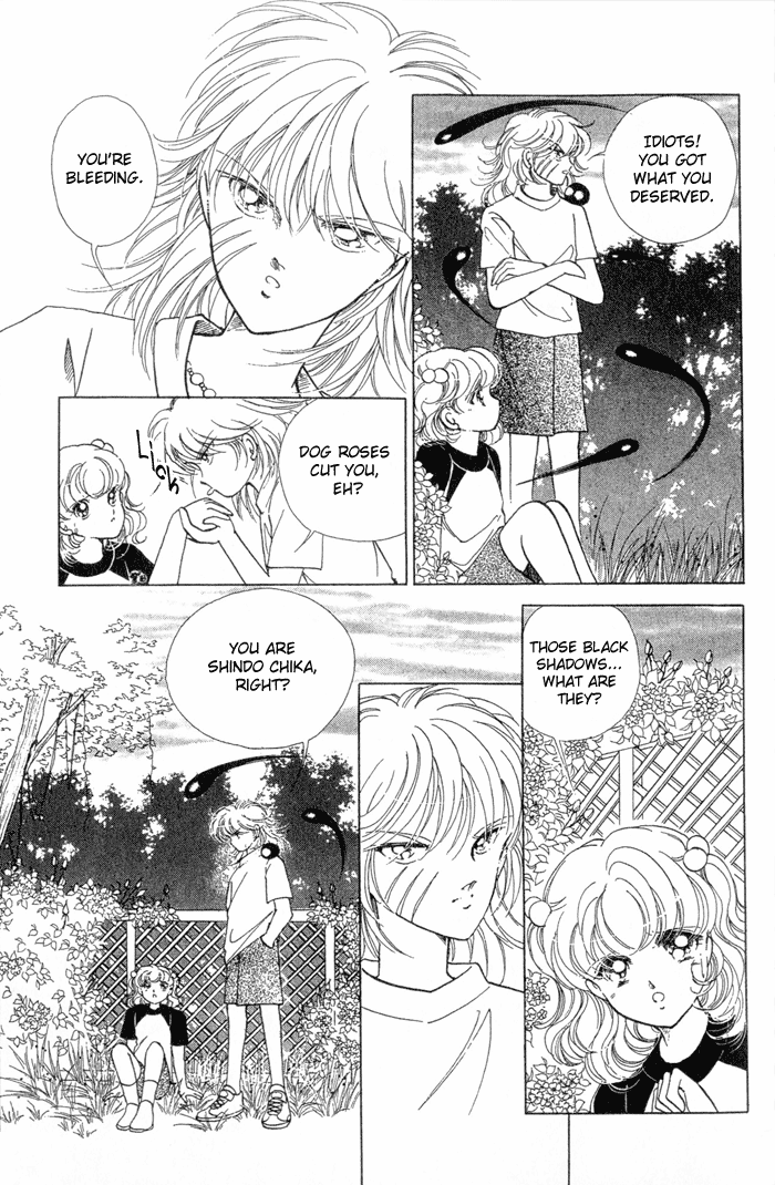 Desert Storm The Garden of Wild Roses 第12页