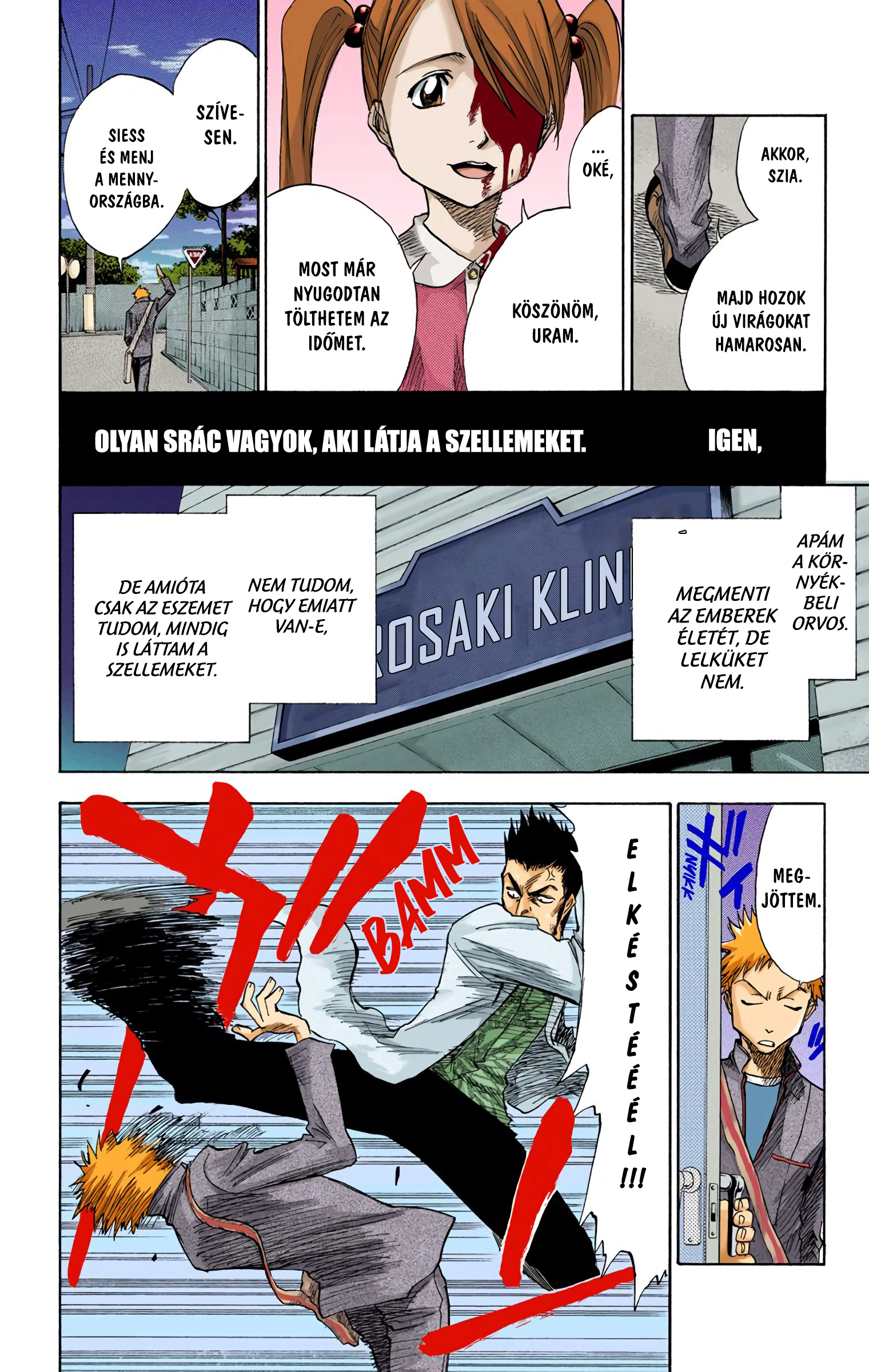 Bleach (Official Colored) Halál&Eper 第12页
