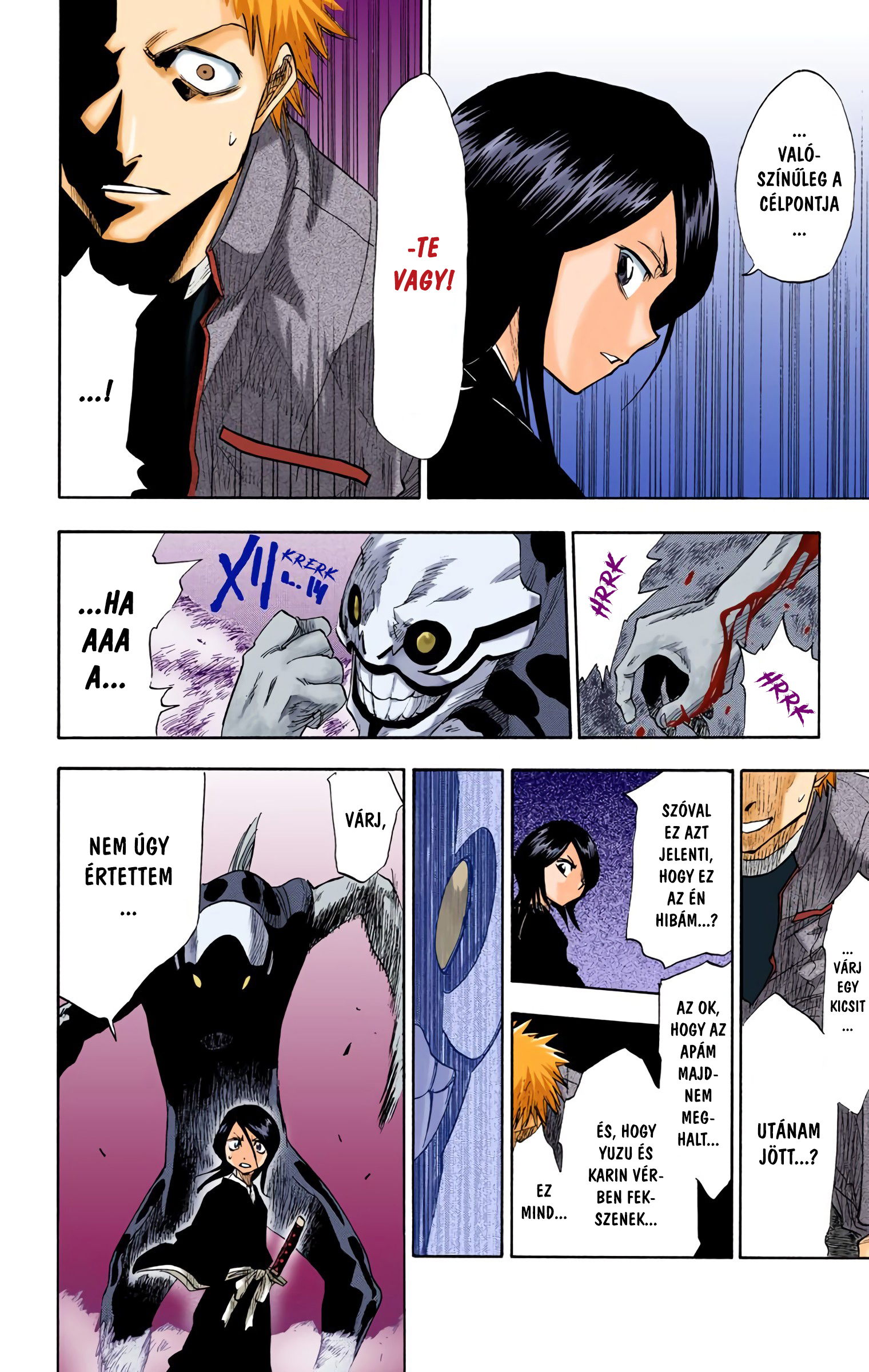 Bleach (Official Colored) Halál&Eper 第40页