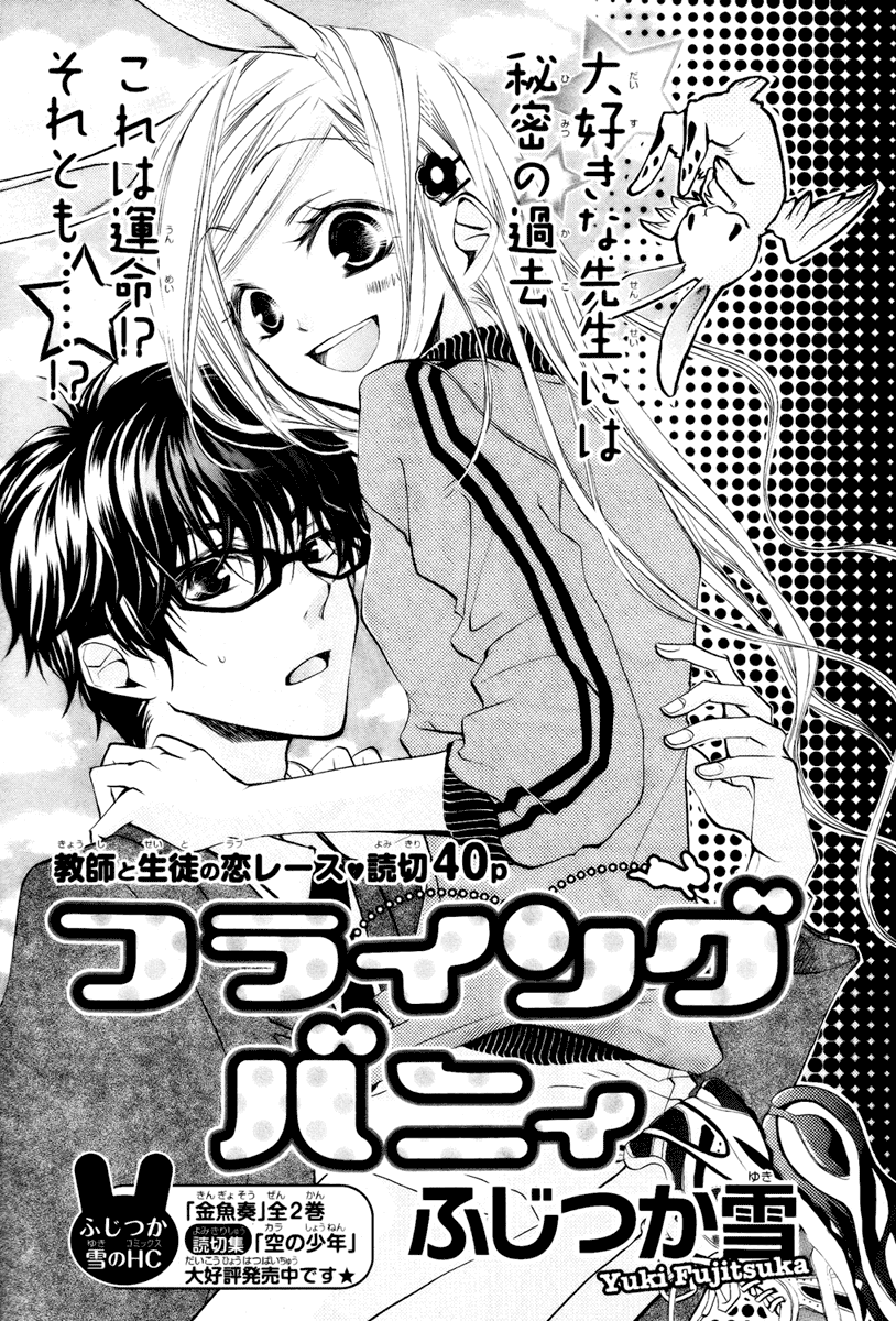 Flying Bunny 第3页