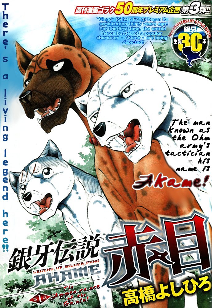Ginga Densetsu Akame 第4页