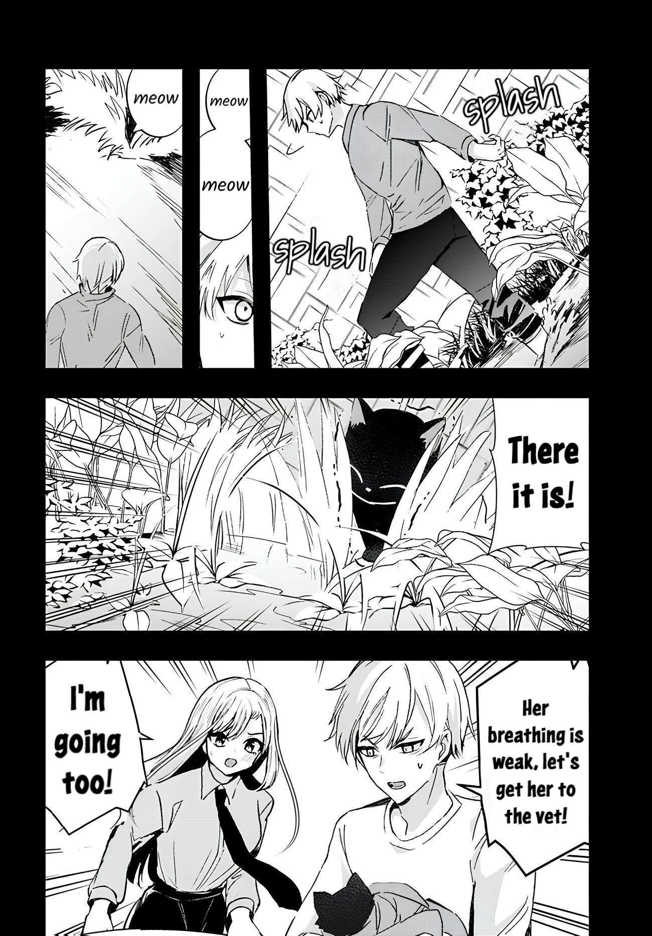 The Cold Beauty At School Became My Pet Cat About A Year Ago 第4页