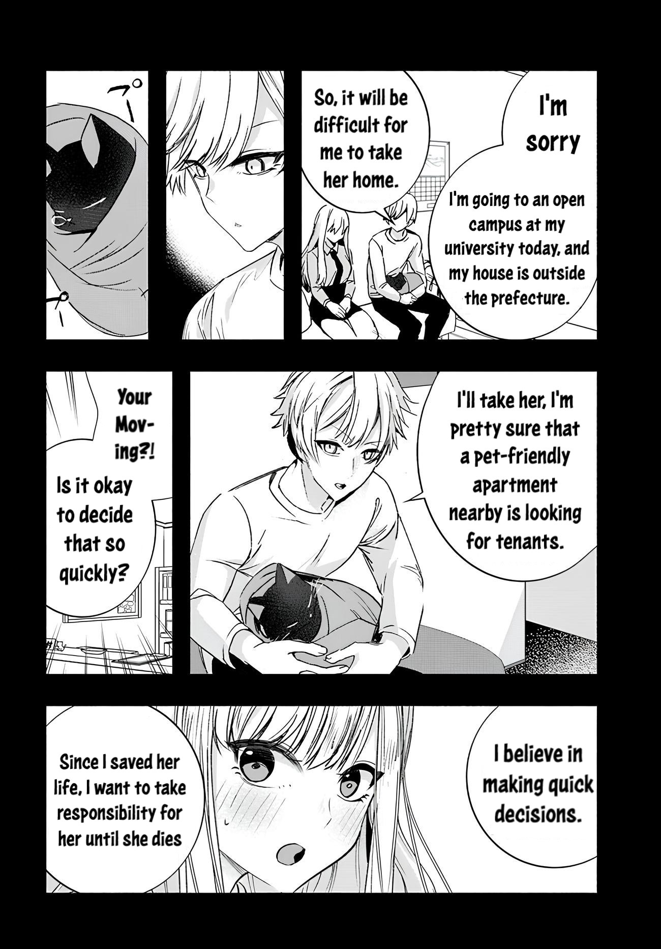 The Cold Beauty At School Became My Pet Cat About A Year Ago 第6页