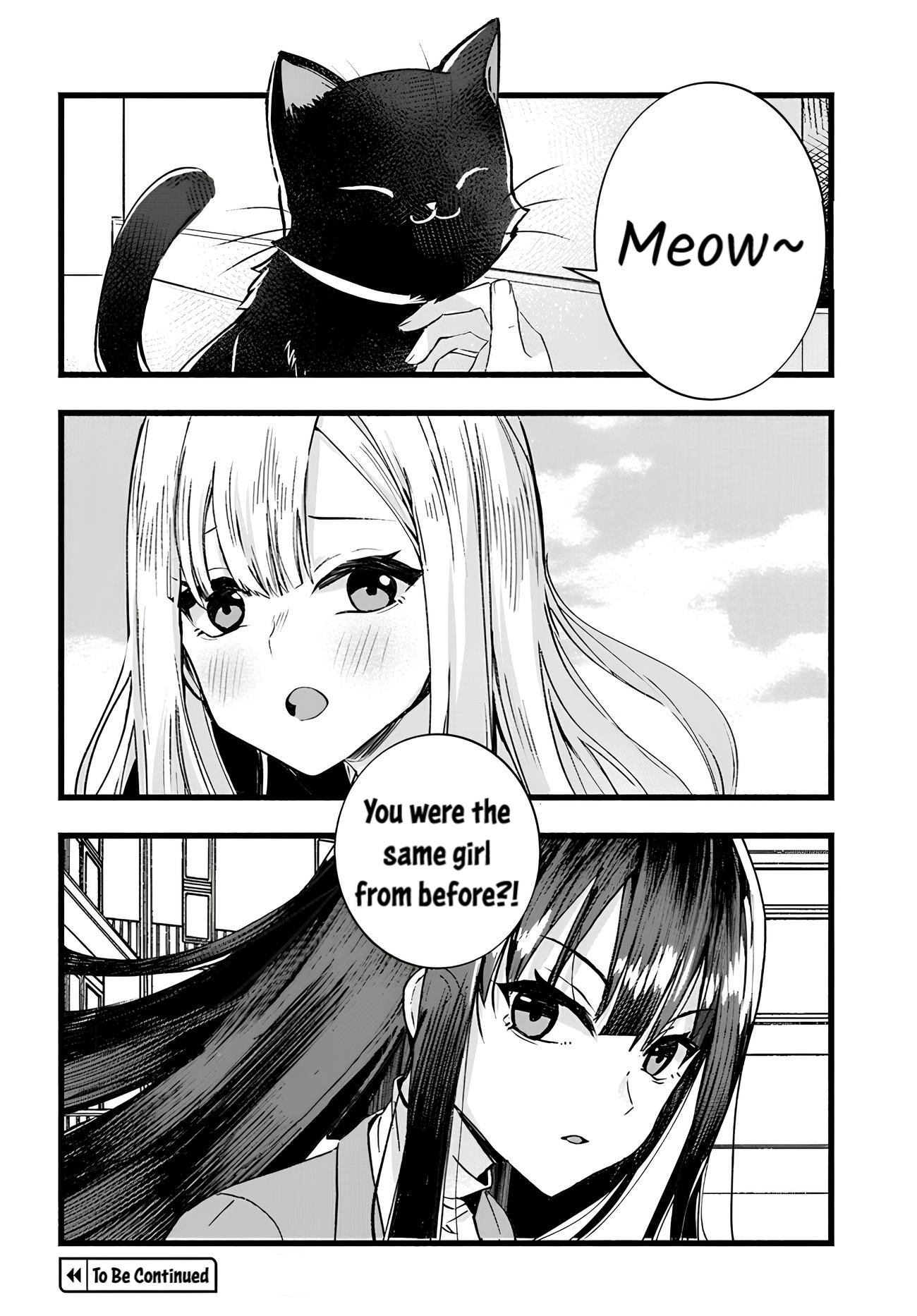 The Cold Beauty At School Became My Pet Cat About A Year Ago 第10页