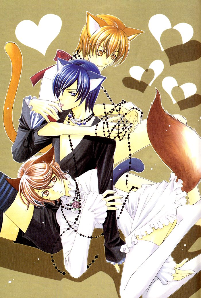 Neko no Yomeiri Vol. 1 Ch. 1.5 第2页