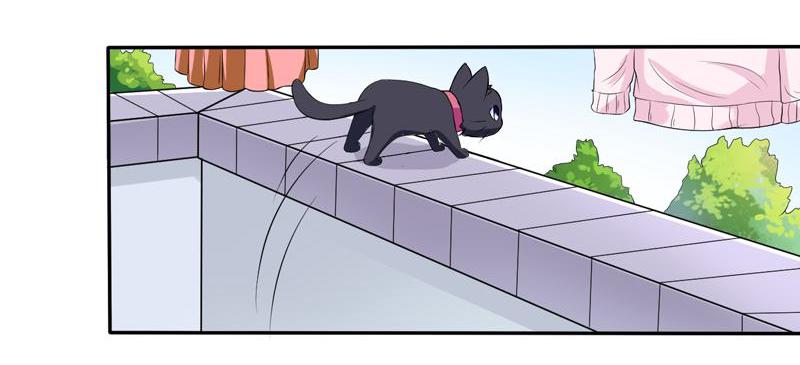 Poop Manager: Praise the Cat Lord 003 第7页