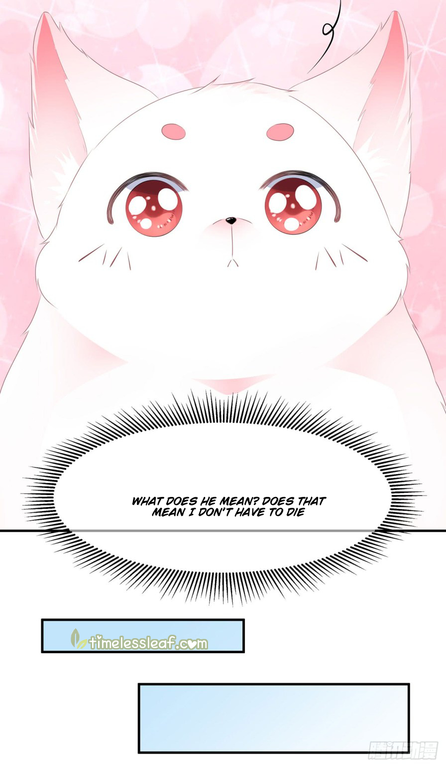 Fox Concubine, Don't Play With Fire Vol. 1 Ch. 2 第19页