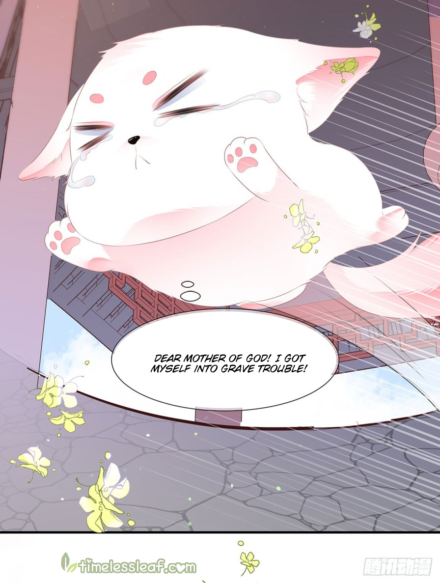 Fox Concubine, Don't Play With Fire Vol. 1 Ch. 2 第5页