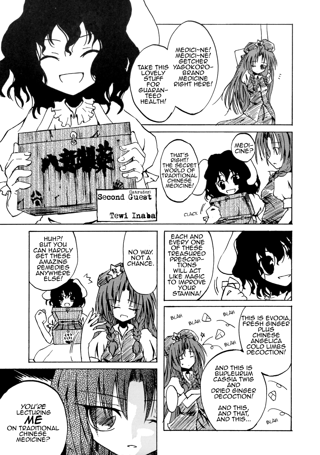 Touhou - Save the Gate! (Doujinshi) 第5页