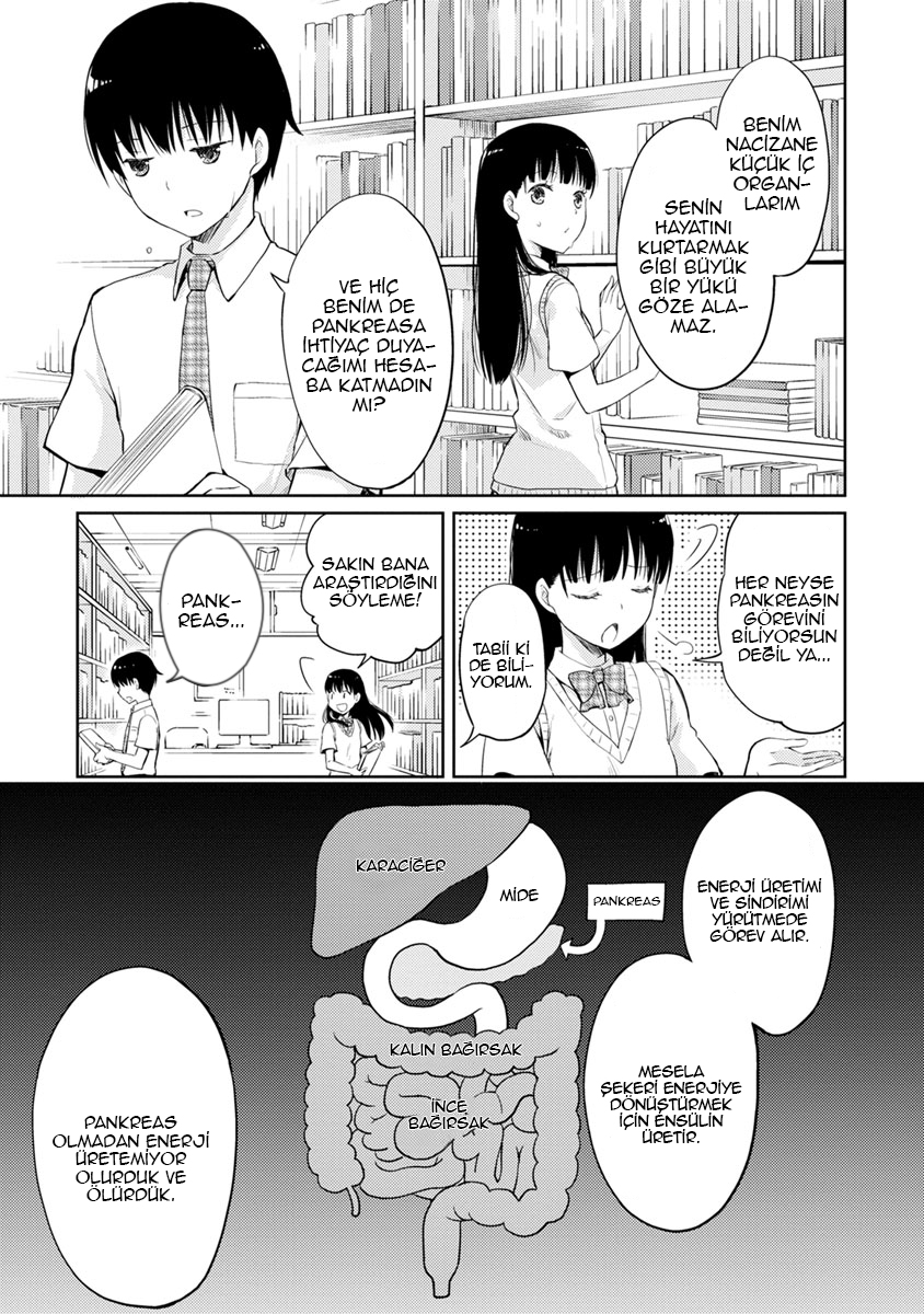 Kimi no Suizou wo Tabetai Sade Bir Öğrenci 第17页