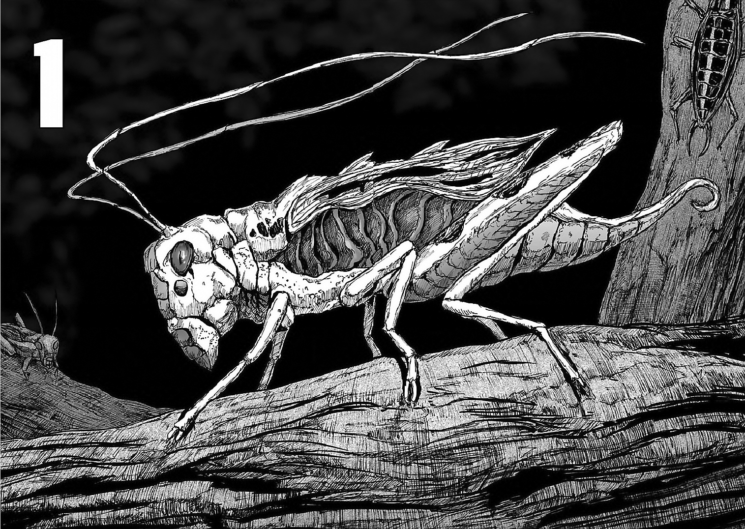 Insects 第6页