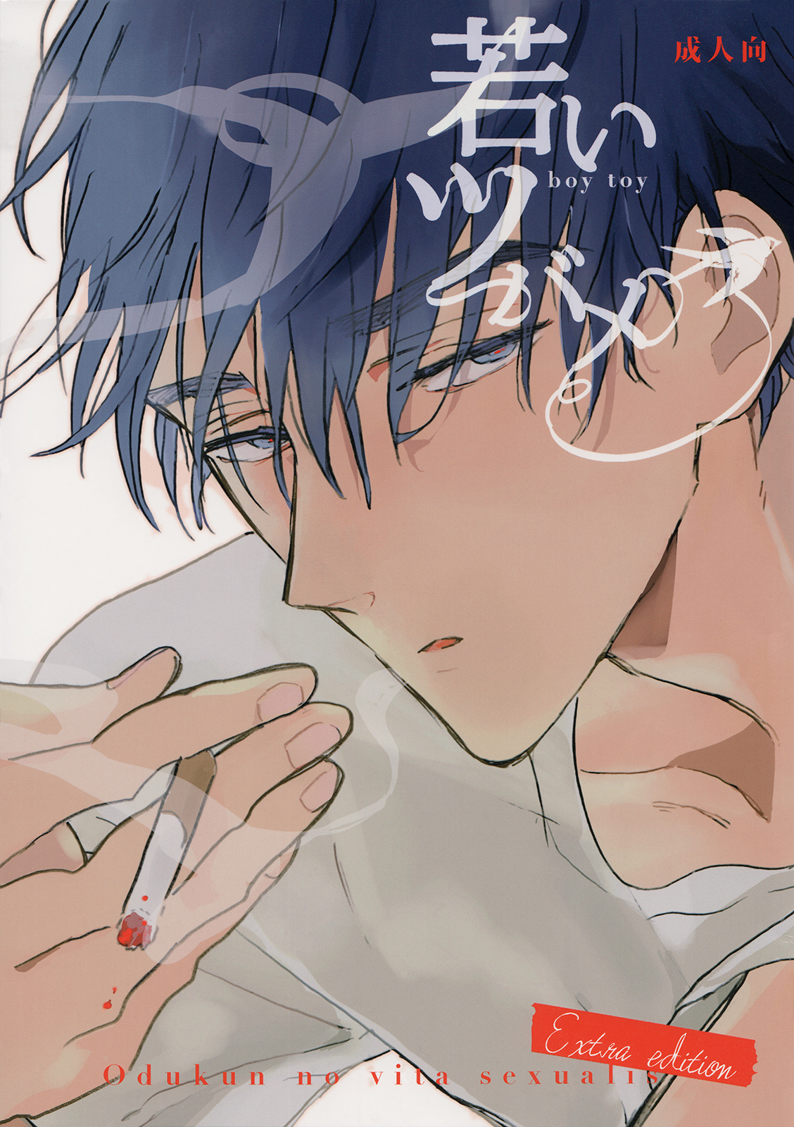 Wakai Tsubame - Boy Toy 第1页