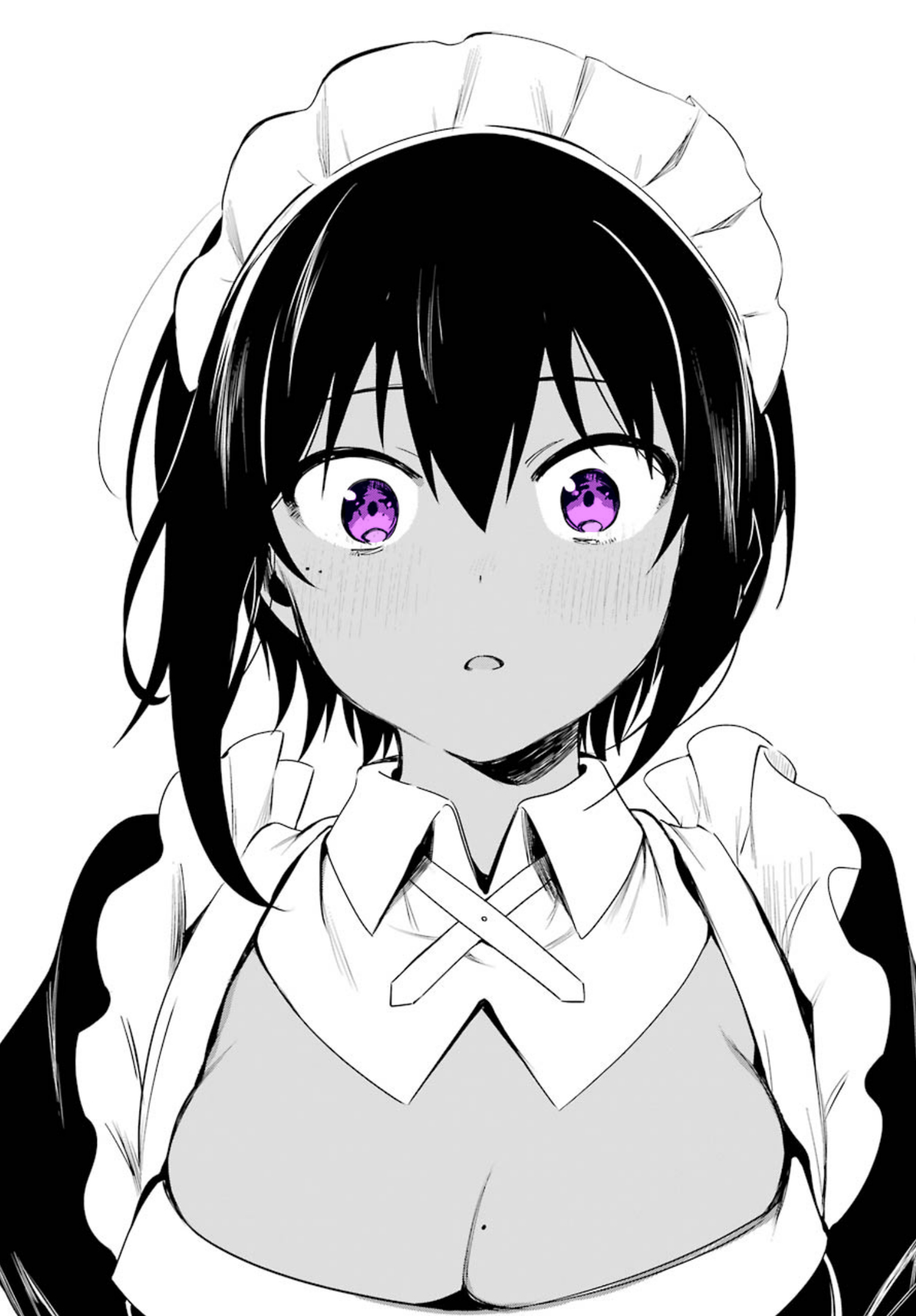 The Maid I Hired Recently Is Mysterious Vol. 1 Ch. 2 第16页