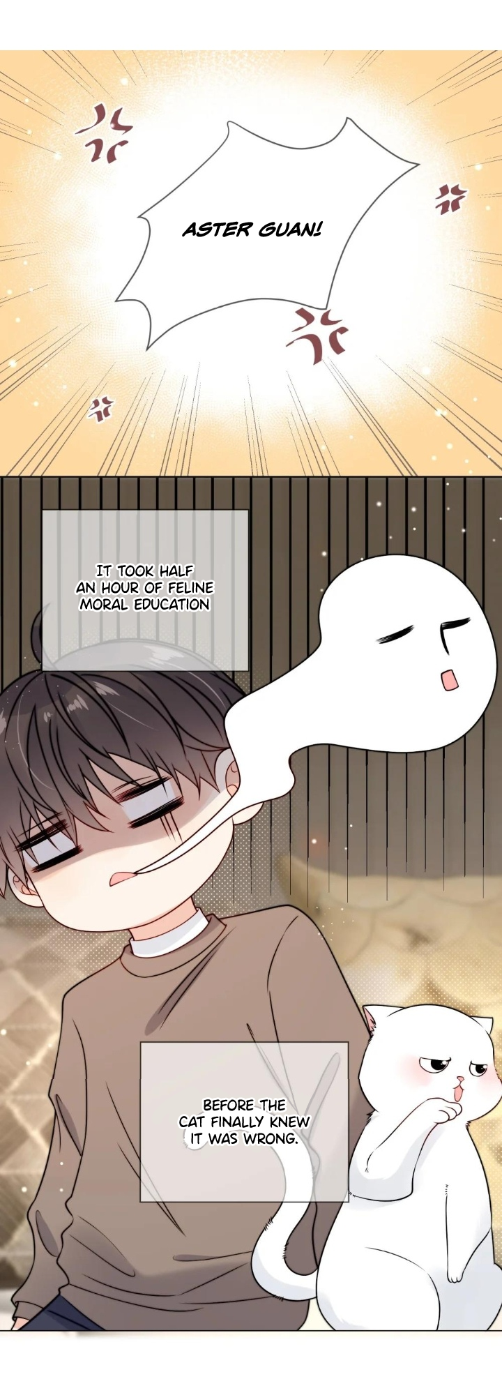 Poor Quality Cream Ch. 5 第4页