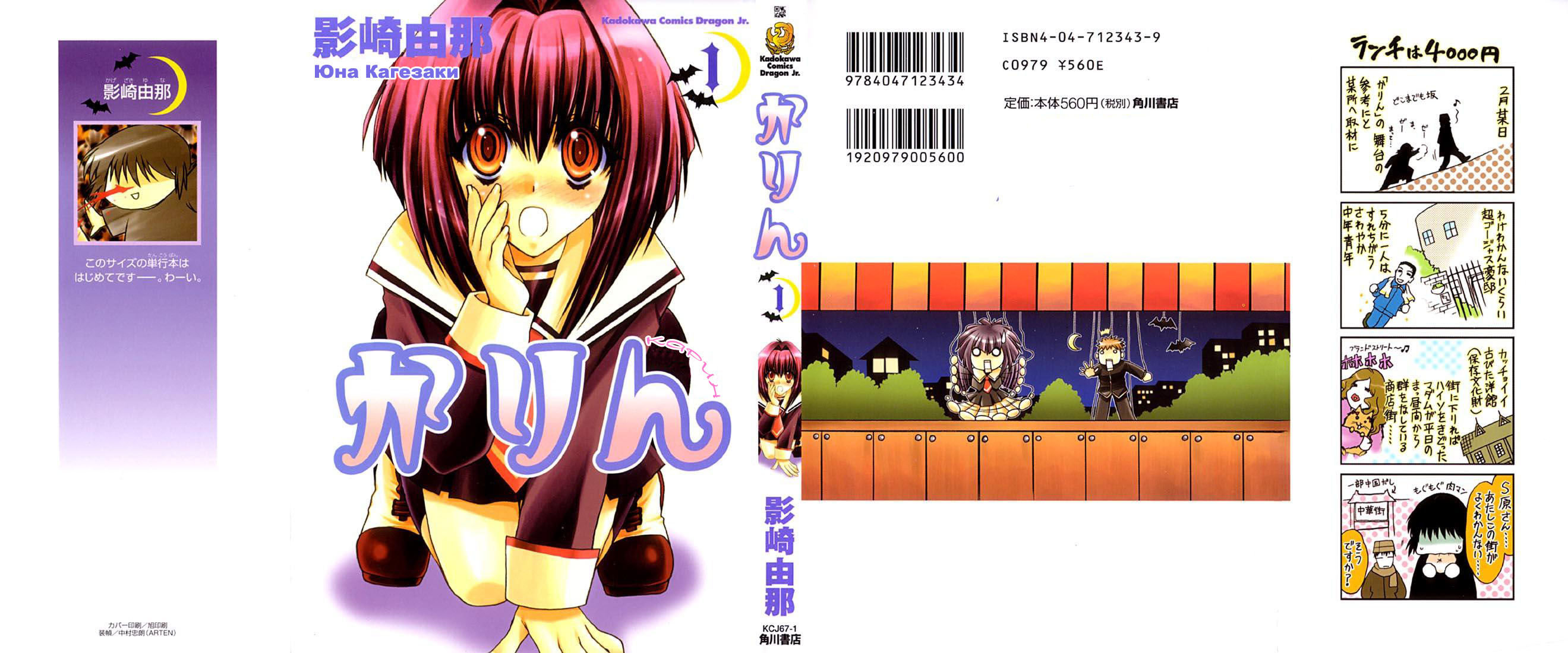 Karin 第2页