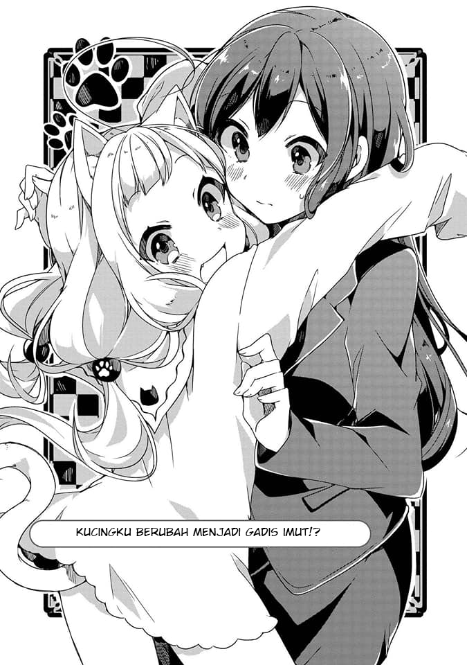 Kimi ni Sukitte Iwasetai Kucingku Berubah Menjadi Gadis Imut!? 第4页