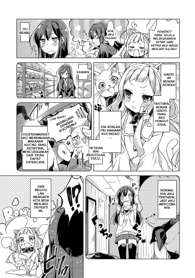 Kimi ni Sukitte Iwasetai Kucingku Berubah Menjadi Gadis Imut!? 第6页