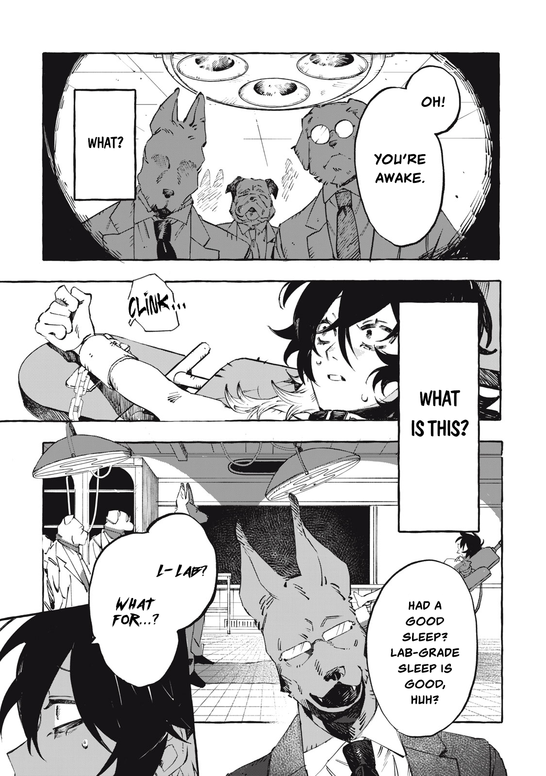 DOG MATIC Dog 第27页
