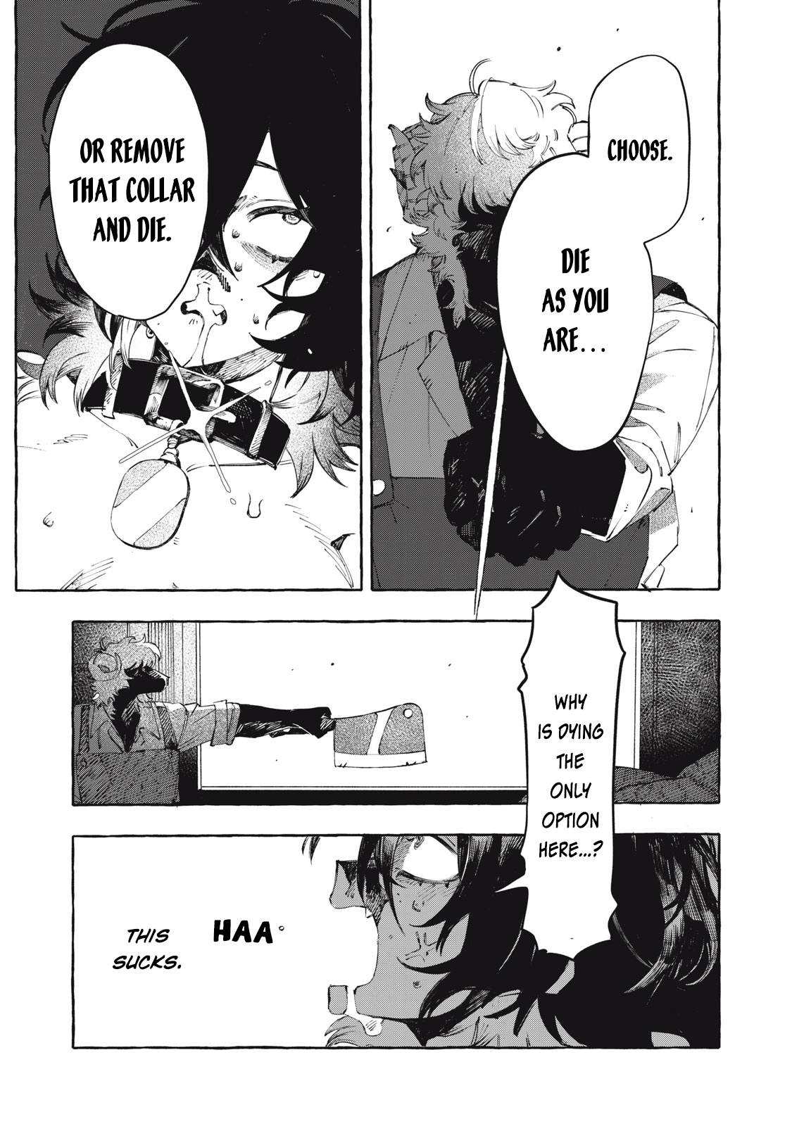 DOG MATIC Dog 第41页