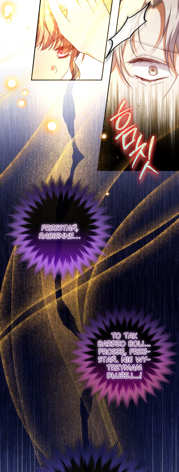 The Archduke's Adopted Saint Vol. 2 Ch. 43 第23页