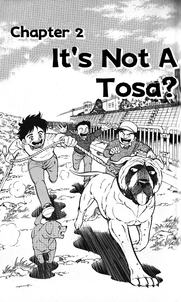Fangs of White Lotus It's Not a Tosa? 第1页