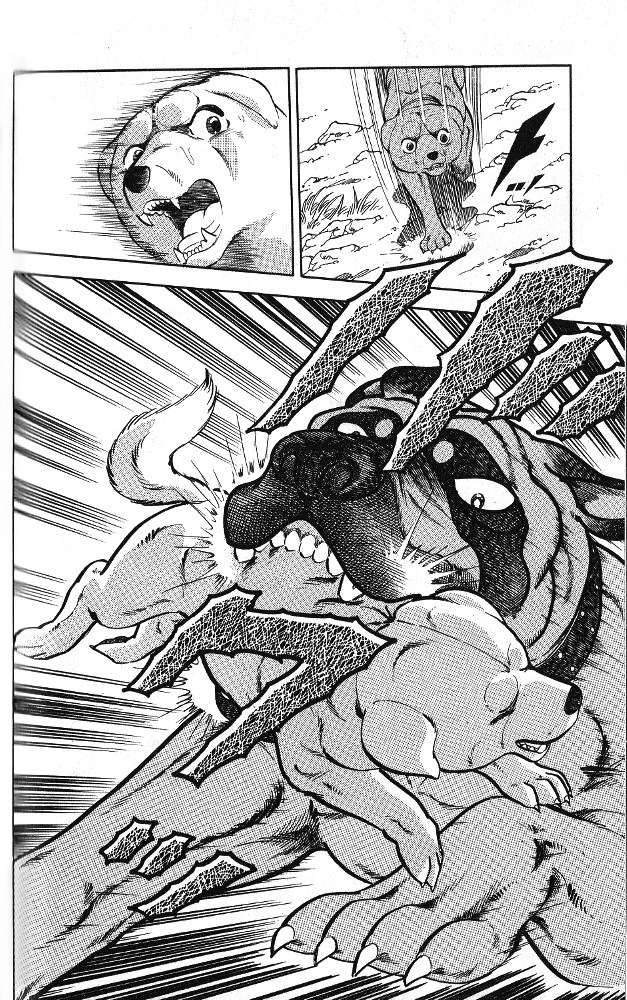 Fangs of White Lotus It's Not a Tosa? 第15页