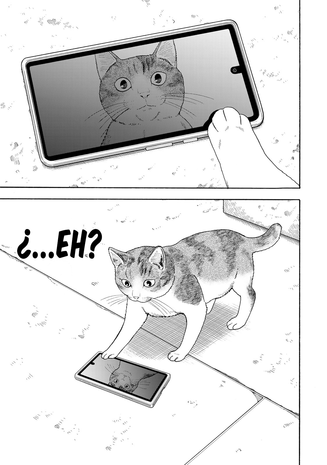 Yuzuki wa Neko ni Naru Me convierto en gato cuando estoy preocupada 第15页