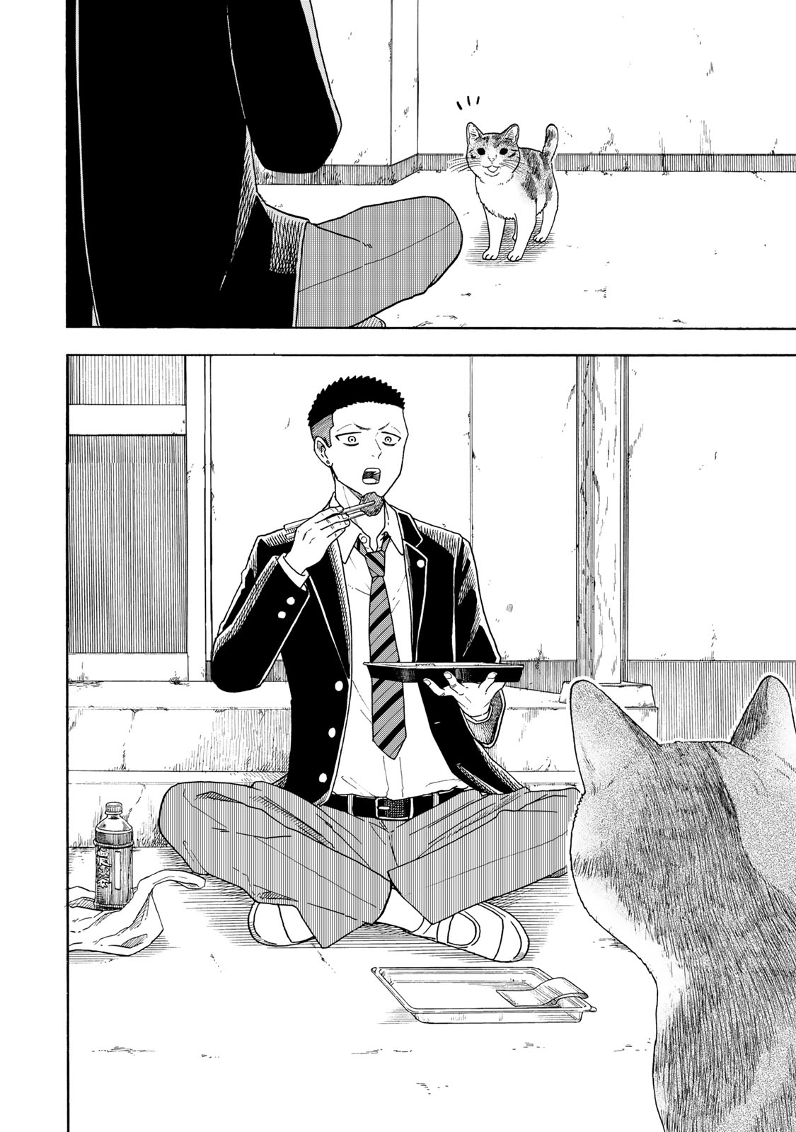 Yuzuki wa Neko ni Naru Me convierto en gato cuando estoy preocupada 第22页