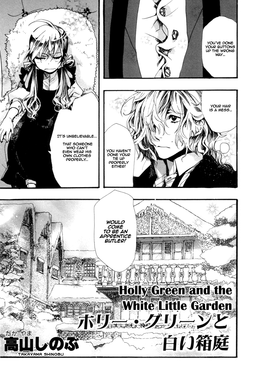 Arcana 01 - Butler Holly Green and White Little Garden 第2页