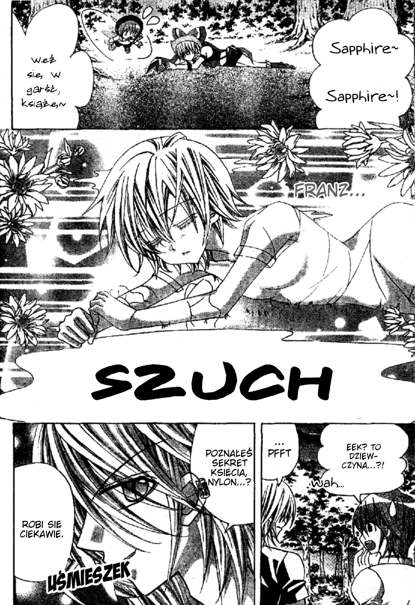 Sapphire - Princess Knight Vol. 1 Ch. 4 第8页