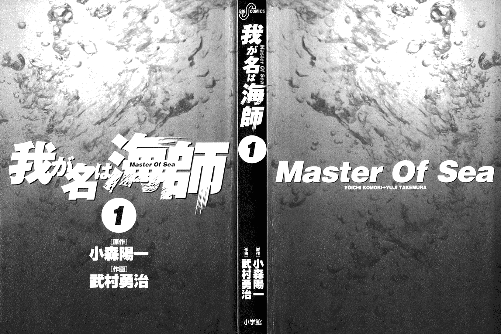 Master of the Ocean 第2页
