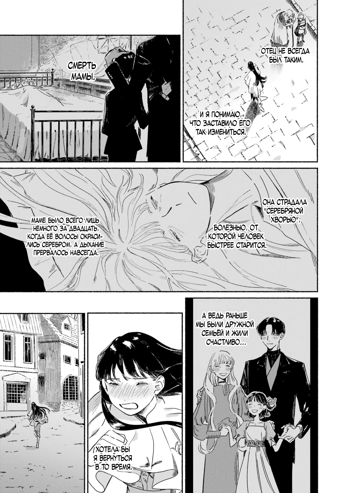 Gin no Mugibatake Серебряный чародей 第13页