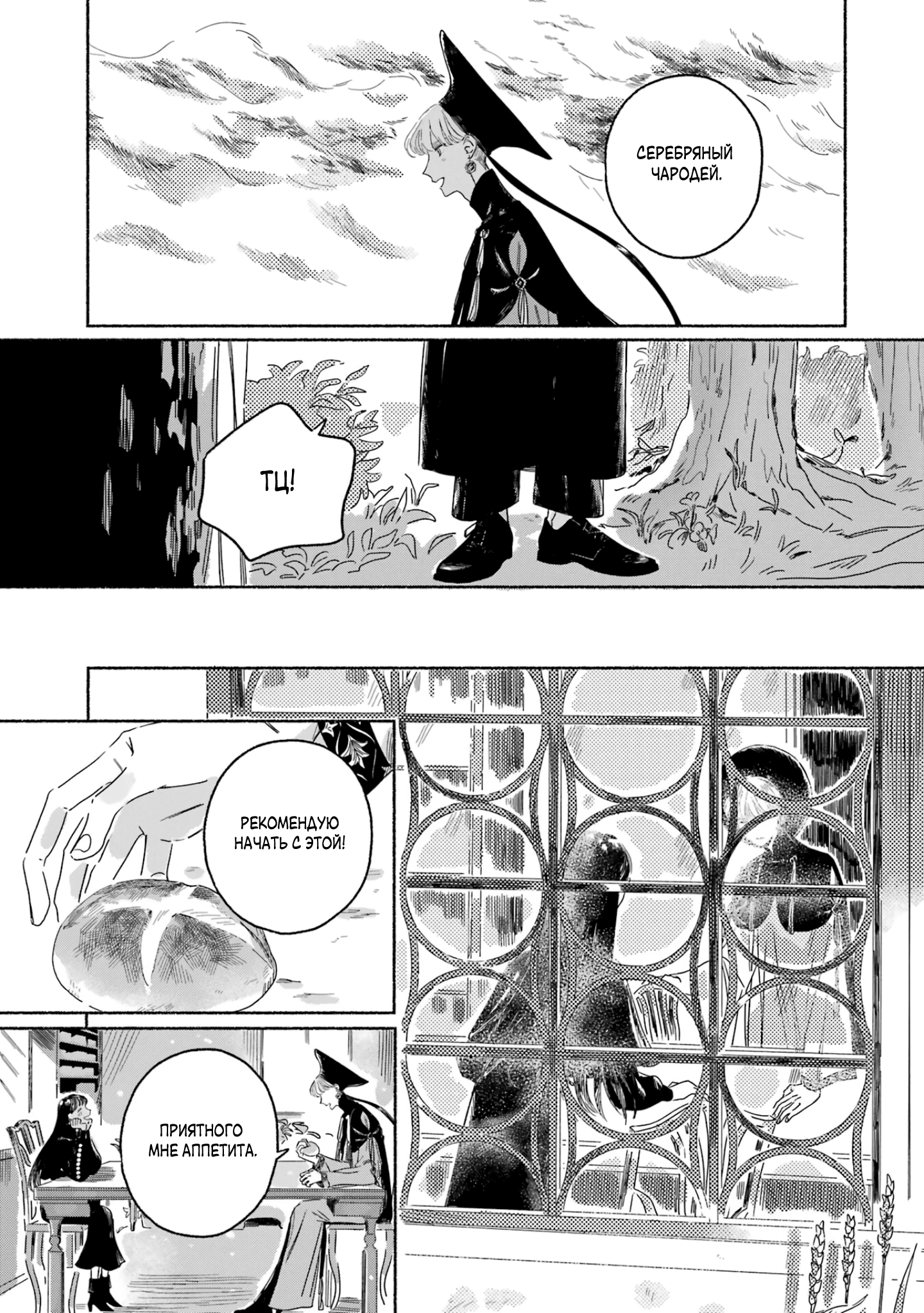 Gin no Mugibatake Серебряный чародей 第47页