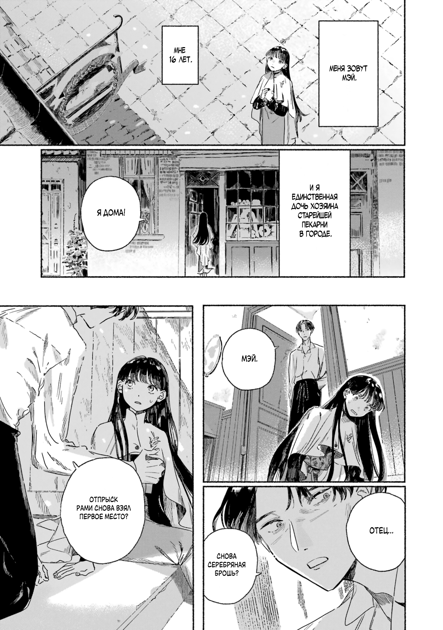 Gin no Mugibatake Серебряный чародей 第9页