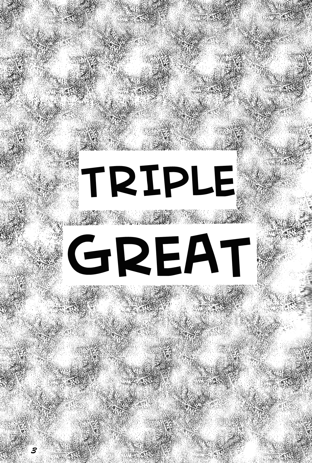Slayers - Triple Great (Doujinshi) 第3页