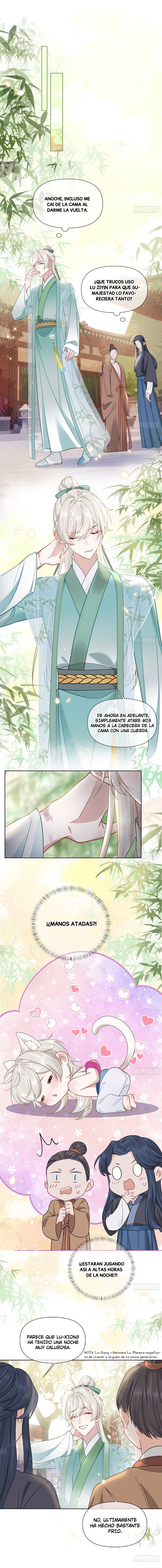 Irreverent Desires Prueba de baile 第3页