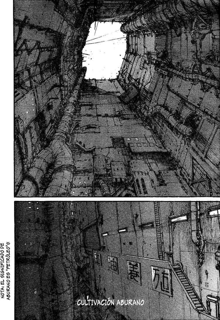 Abara Gauna blanco 第11页