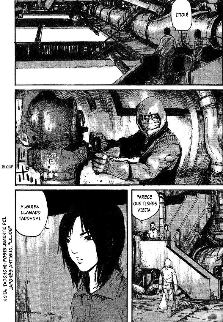 Abara Gauna blanco 第13页