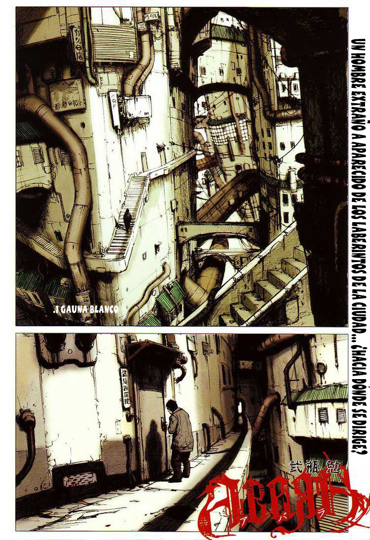 Abara Gauna blanco 第5页