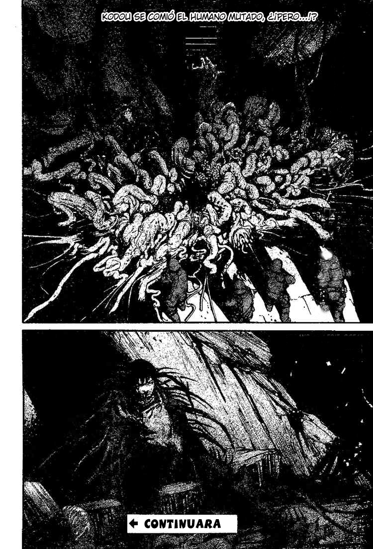 Abara Gauna blanco 第41页