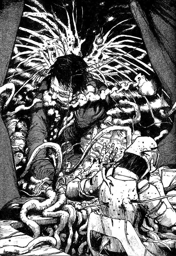 Abara Gauna blanco 第9页
