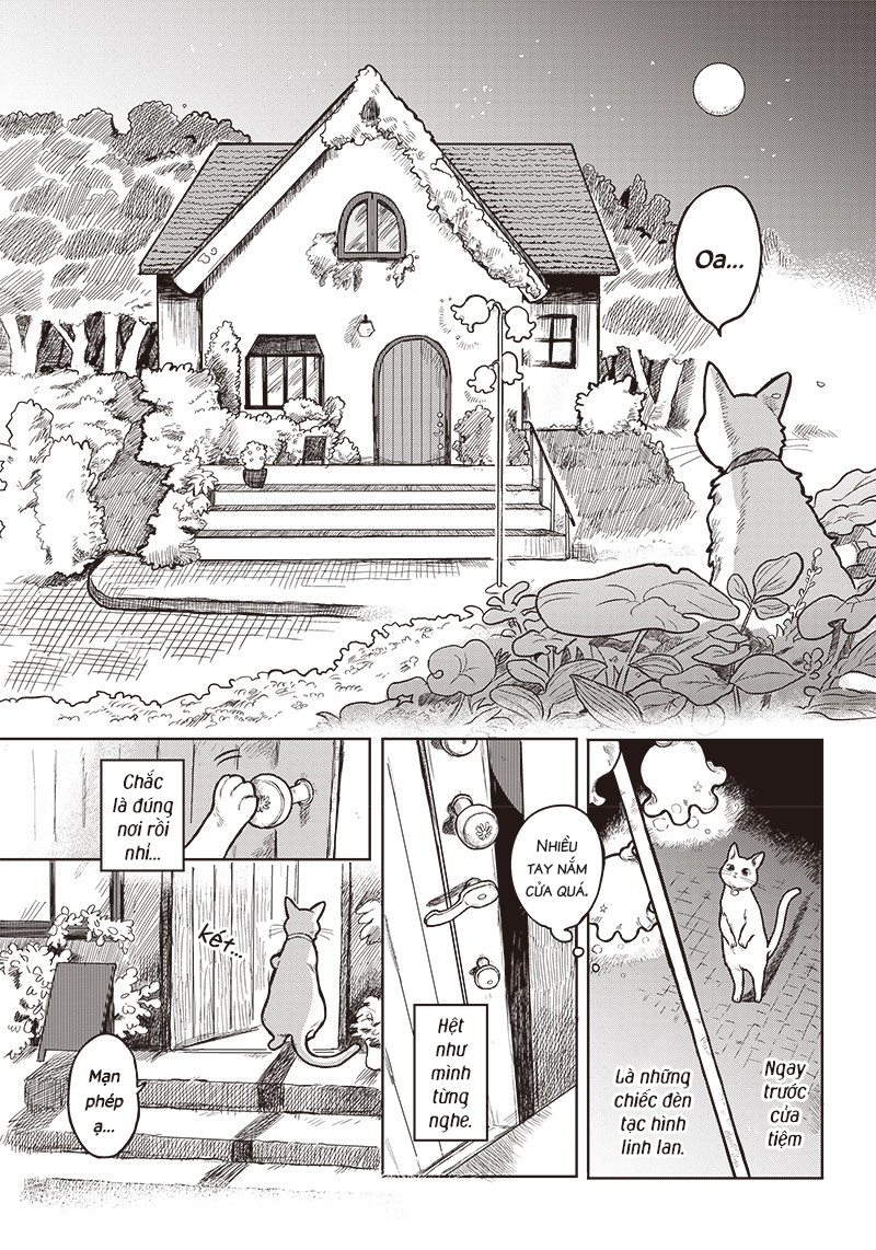 Lily of the Valley Under the Moonlight Oneshot 第4页