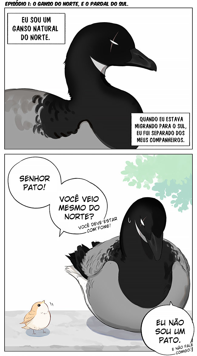 Southern Bird and Northern Bird O ganso do norte e o pardal do sul 第2页