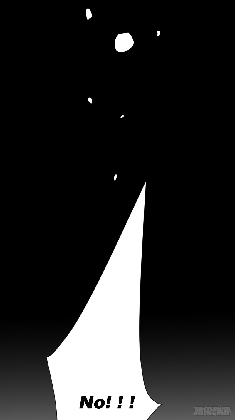 Black-backed albatross No!!! 第21页