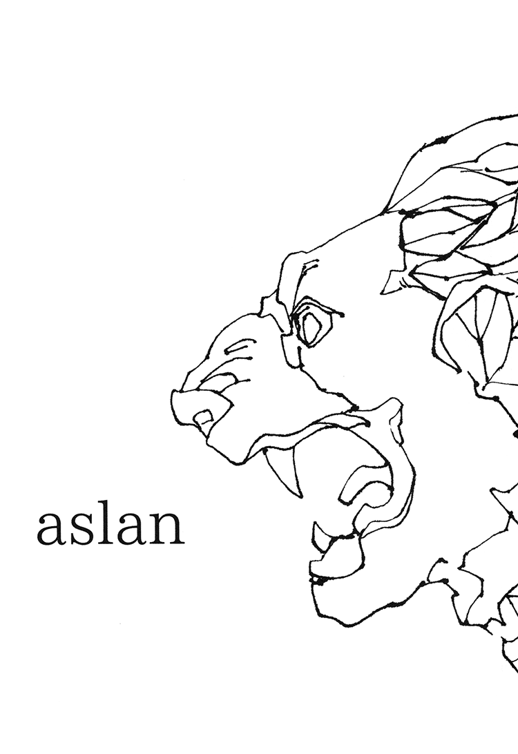 Aslan 第2页