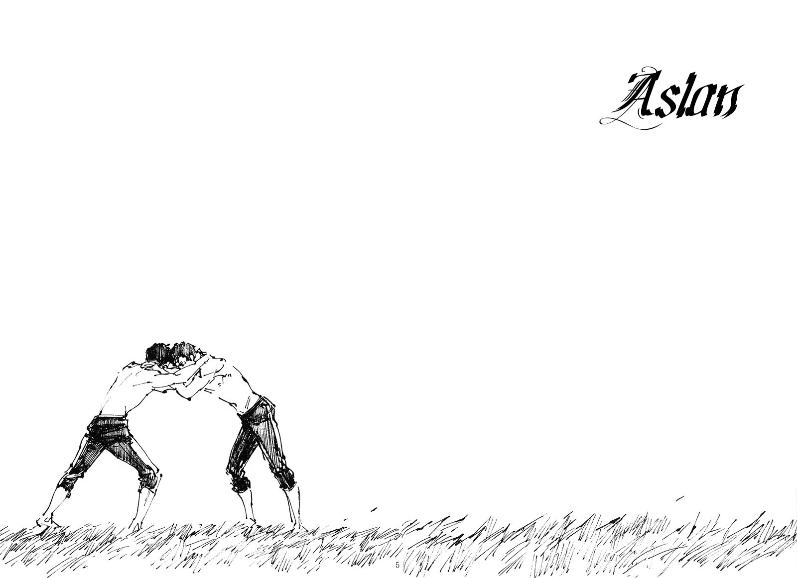Aslan 第5页