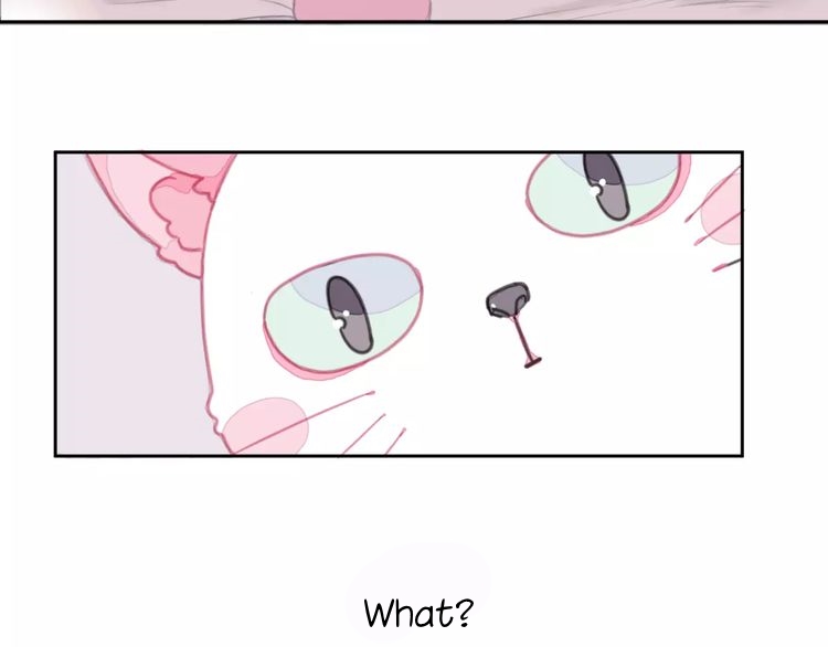 A Cat's World Transformation 第11页
